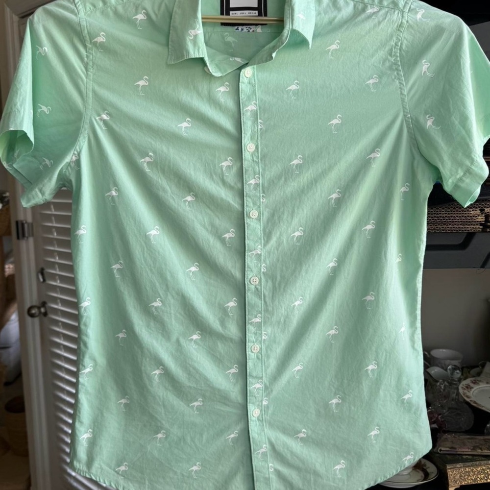 Zipcode Design Mint Flamingo Print Men's Shirt